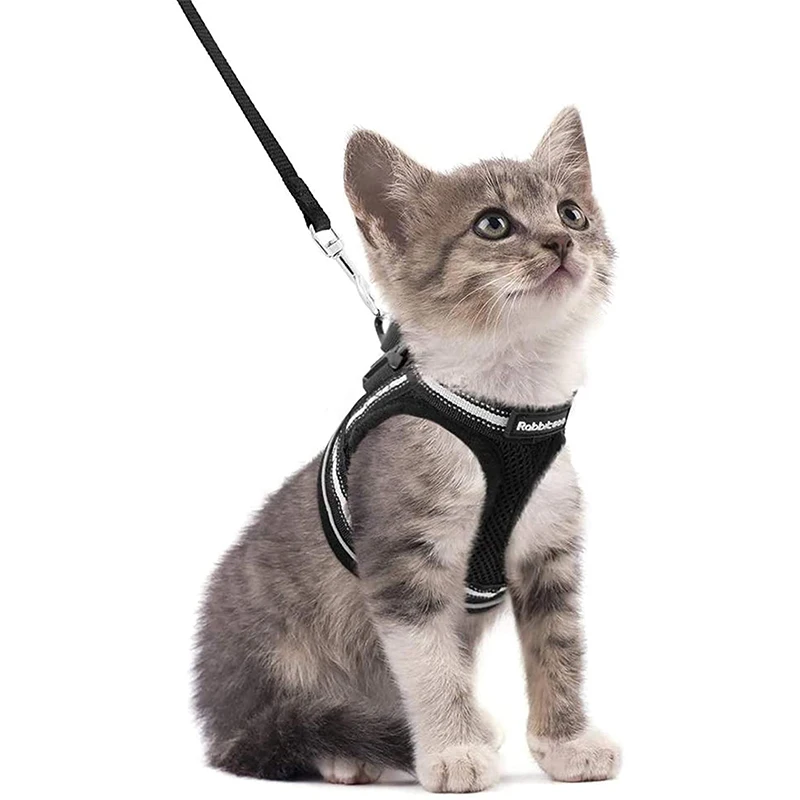 

Rabbitgoo Cat Harness and Leash Set for Walking Escape Proof Vest Adjustable Soft Kitten Harness with Reflective Strip for Cats