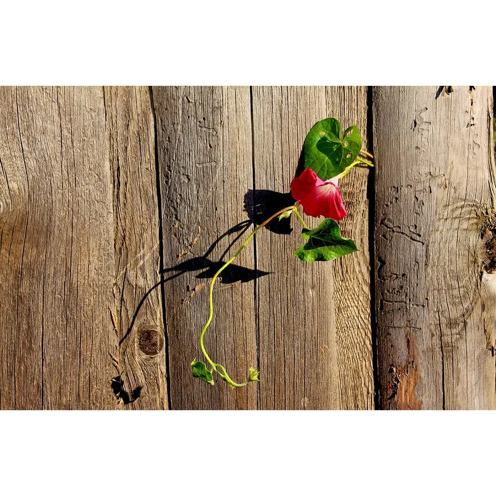 

SHENGYONGBAO Art Fabric Photography Backdrops Flower and Wooden Planks Theme Photography Background 200309HK-0024