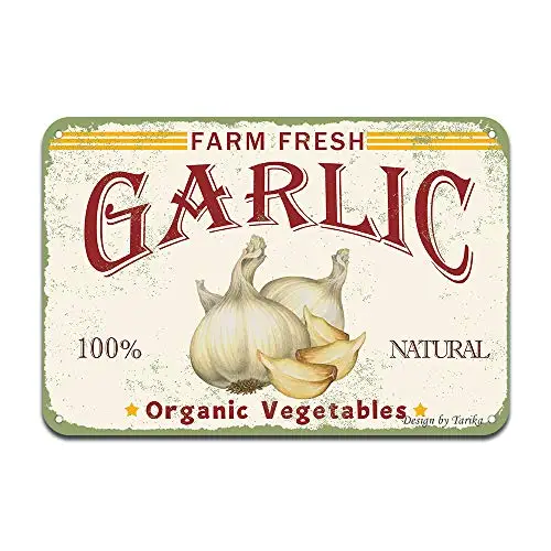 Ферма Свежий Чеснок 100% натуральные органические овощи Железный постер картина