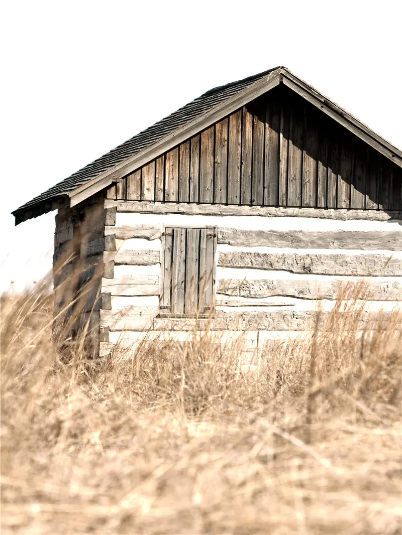 

Modern Plant Flower Canvas Painting Pastoral Style Poster Pictures for Living Room Girl Bedroom Decor Home Background Wall