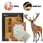 Импотенция почечных пластырей, преждевременная эякуляция, эректильная дисфункция, частые мочеиспускания, боль в спине, холод рук и ног