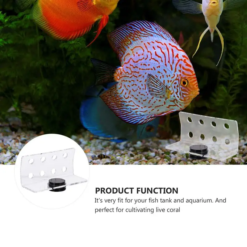 

Magnetic Coral Frag Rack for Aquarium Fish Tank Coral Rack Stand Support Holder