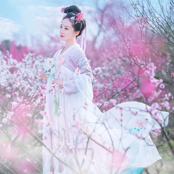

New Hanfu Female Bodhi Snow Costume Costume Fairy Qi Bust Skirt Traditional Hanfu Tang Princess Fresh And Elegant