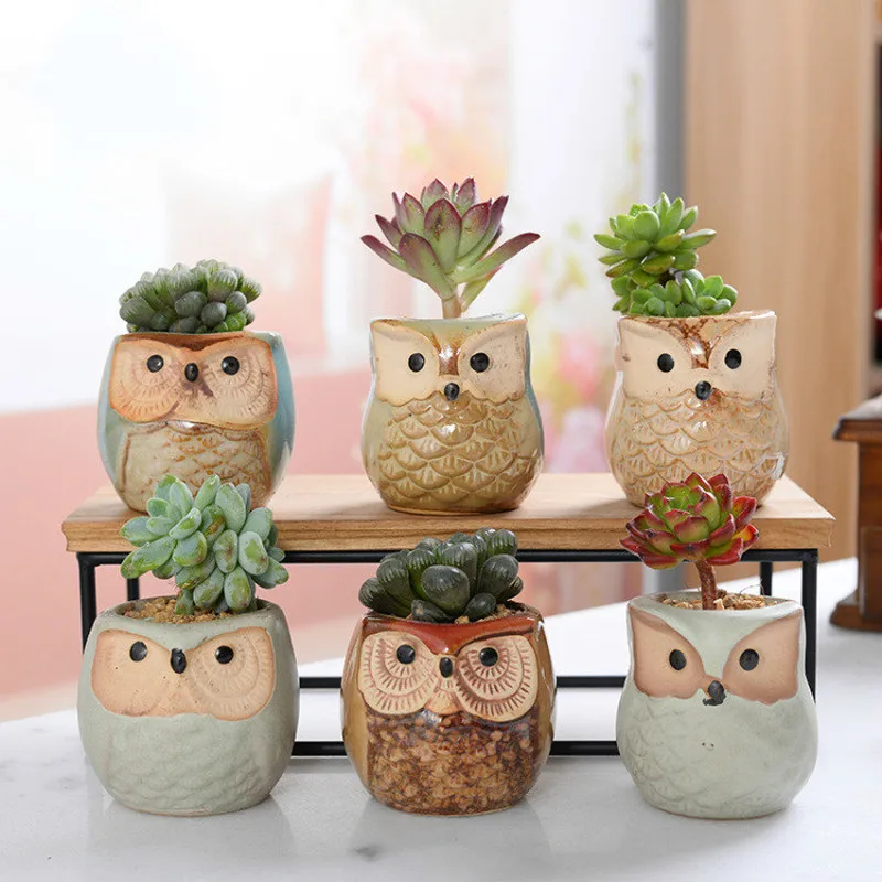 

6 Sets of Owl Flower Pot Japan and South Korea Animal Flower Pot Mini Thumb Ceramic Flower Pot Owl Set Succulent Pot Plant Pot