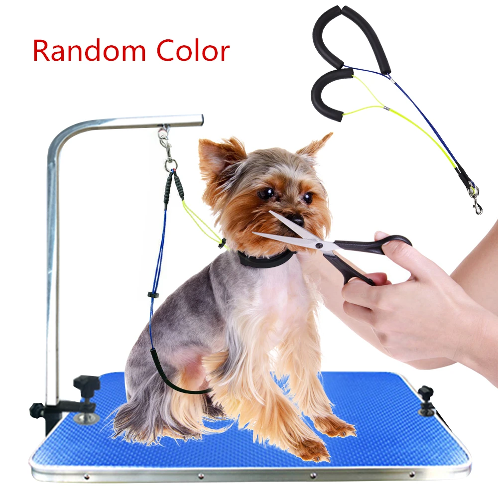 Поводок для груминга домашних животных поводок собак и кошек|Поводки| |