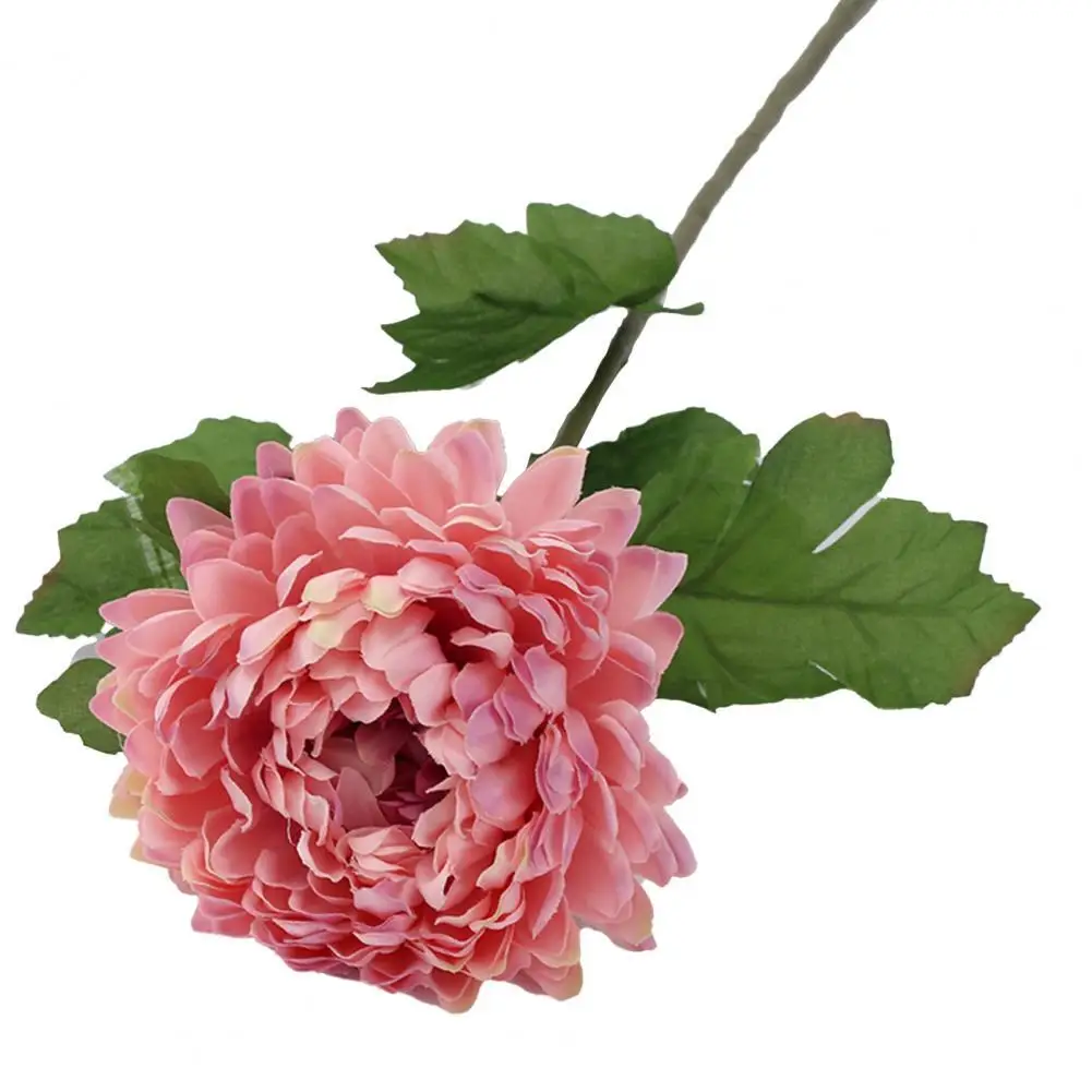 60% горячая Распродажа искусственный цветок Экологичный Безвкусный 5 цветов