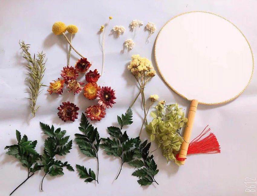 Веер вечной группы цветов сушеный цветок Материал Пакет сделай сам ручной работы