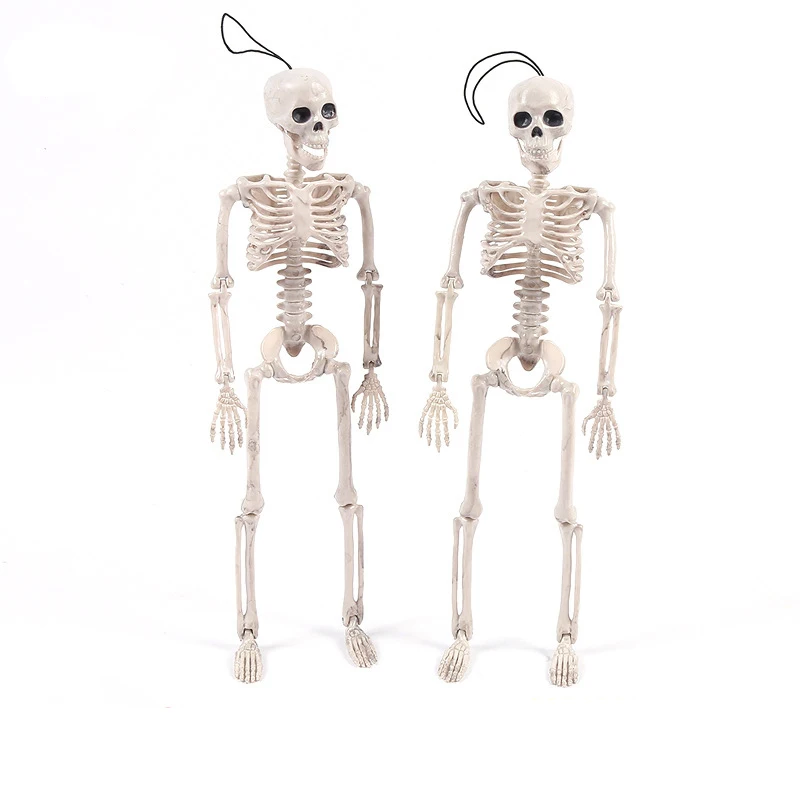 

Halloween Skeleton Skeleton 16 Inches Model House Toys Decoration Posable Skeleton Full Body with Movable Joints Skeleton