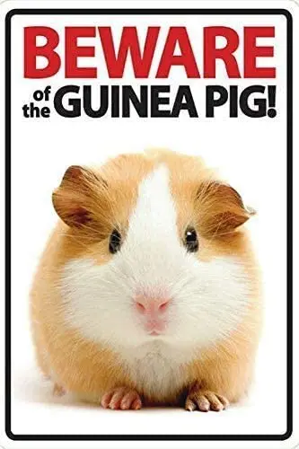 

Metal Tin Sign Beware of Guinea Pig Pub Outdoor Bar Retro Poster Home Kitchen Restaurant Wall Decor Signs 16X12inch