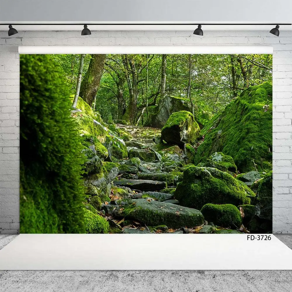 

Свадебный фон для детской фотосъемки Весенний лес каменная дорожка трава рассвет пейзаж фотосессия фотостудия виниловый фоновый реквизит