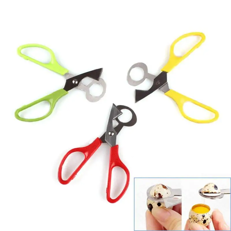 1 шт голубь перепелиное яйцо ножничный резак для птицы открывалка кухонный