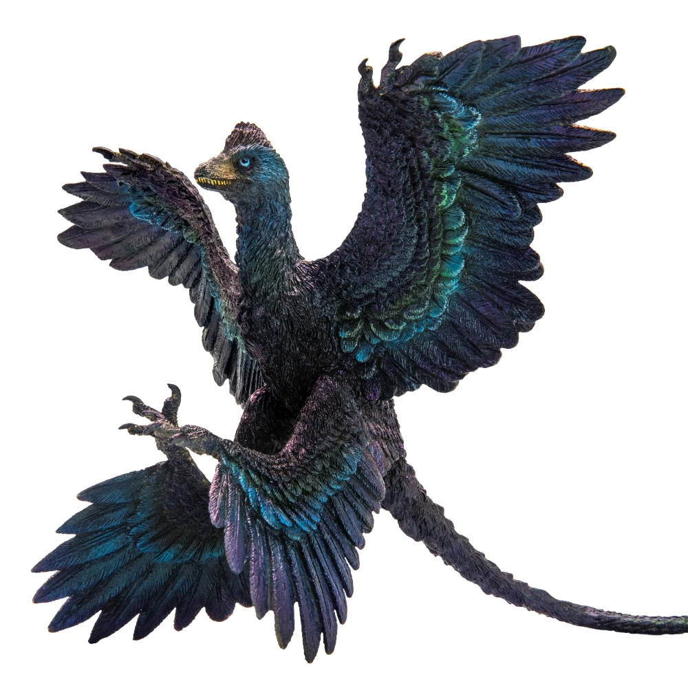 PNSO-dinosaurio prehistorico, modelos: 29 Gaoyuan, El Microraptor-3