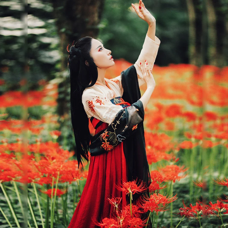 

2021 Female Hanfu Dress Chinese Traditional And Ancient Classical Dance Costumes Han/Tang Dynasty Princess Elegant Clothes T433