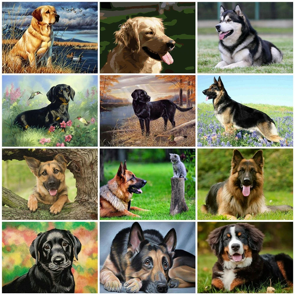 HUACAN изображение по номерам собака комплект для животных рисунок на холсте