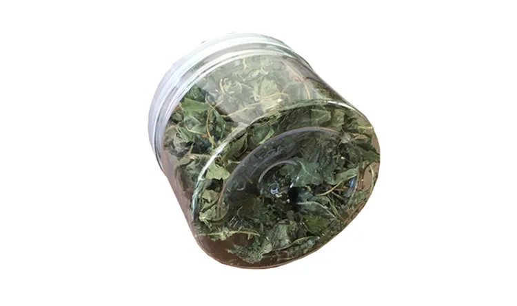 

Canned Polygonum Hydropiper Leaves Cat Hair Ball Prevention Products Toys Brush Tea