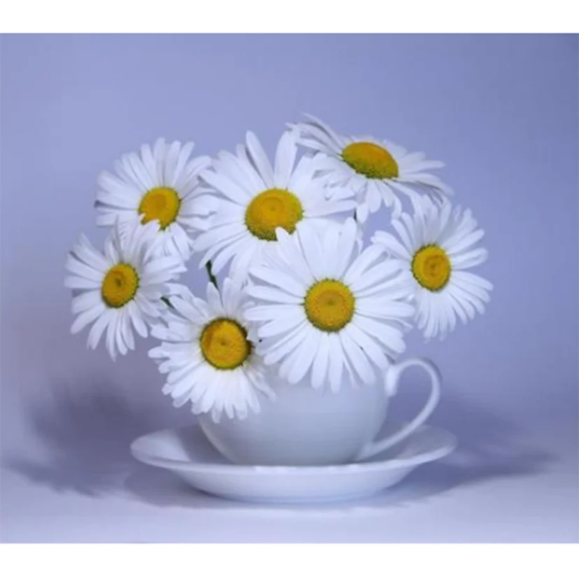 

5D DIY Diamond Painting Square/Round Diamond Flower Painting Cup Daisy Flower Beauty Picture Cross Stitch Decorative Art TX947