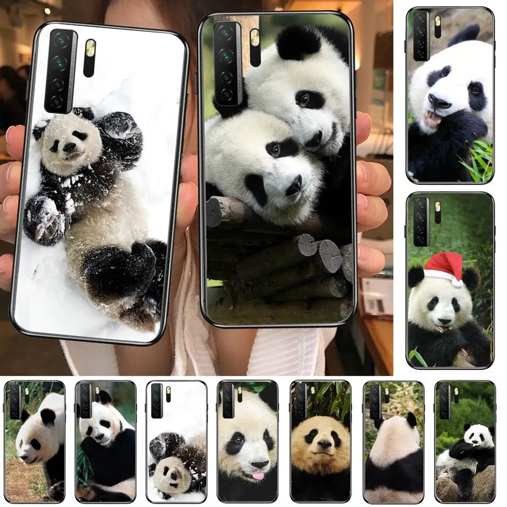 

Super Cute Panda Black Soft Cover The Pooh For Huawei Nova 8 7 6 SE 5T 7i 5i 5Z 5 4 4E 3 3i 3E 2i Pro Phone Case cases