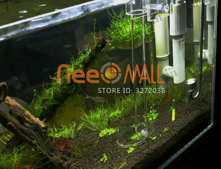 Aquarium Fish Food Acrylic Crystal Shrimp Fish Feeding Tube With Feeder Dish Tropical Aquario Red Bee Plant Tank Eggs