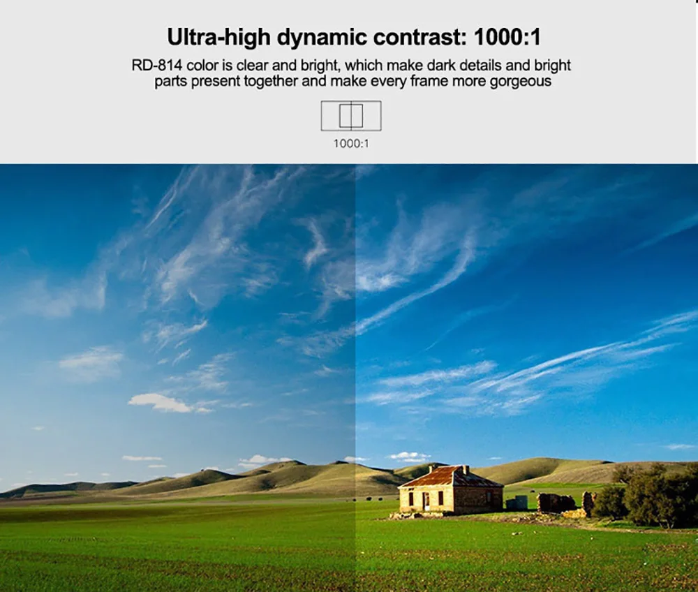 VEIDADZ Mini LED Projector RD 814 Supports 1080P HD 400 Lumens With Multi-Interface USB AV TF House Media Player 320x240 Pixels |
