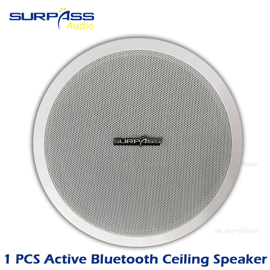 8-дюймовый PA системный динамик высокоэффективный Высокоточный цифровой