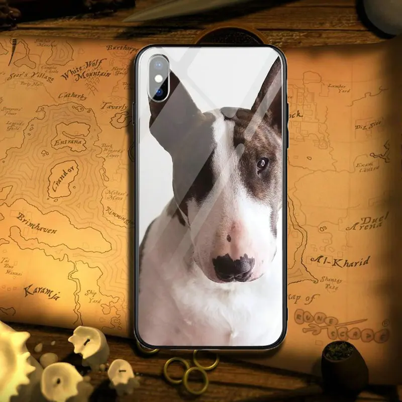 Чехлы для телефонов из закаленного стекла iPhone 5 дюймов женская модель X XR XS Max 10 7 8