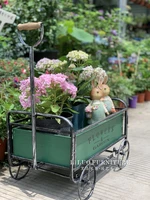 flower stand personalized cart storage decoration shop window gardening flower stand flower cart garden pots