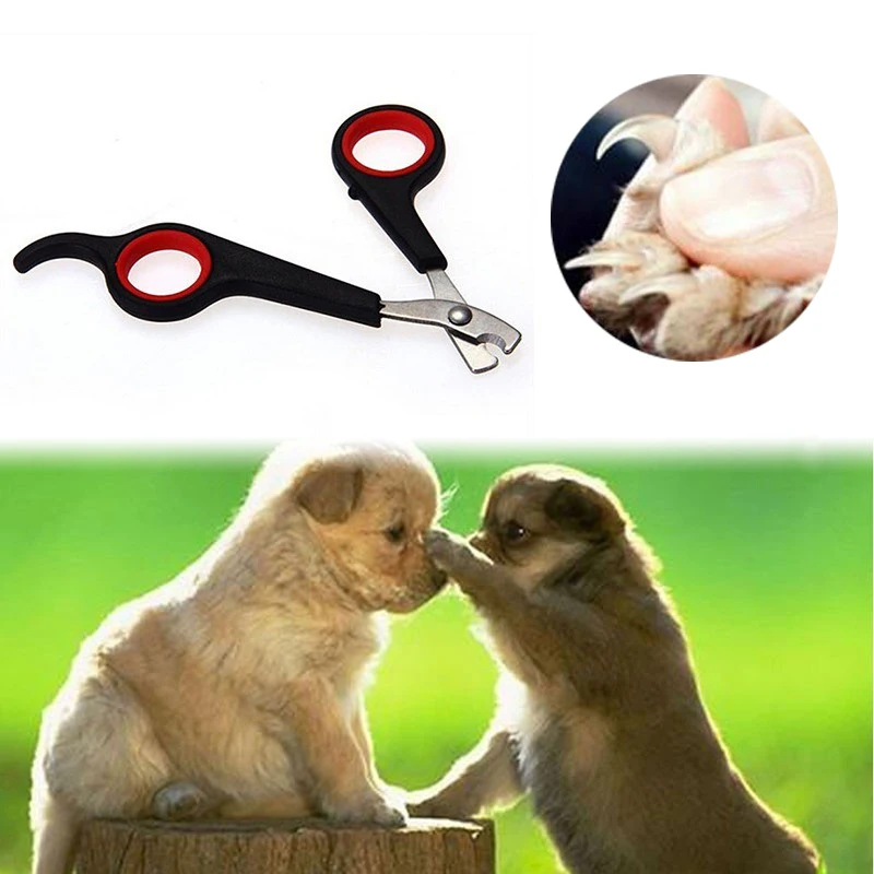 1 шт. Pet ножницы для стрижки когтей коготь Уход за лошадьми волос собак и кошек