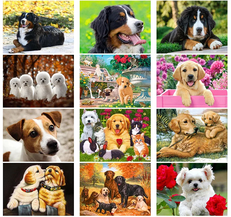 DIY Dog 5D алмазов картина полный круглые и квадратные Стразы мозаика со стразами