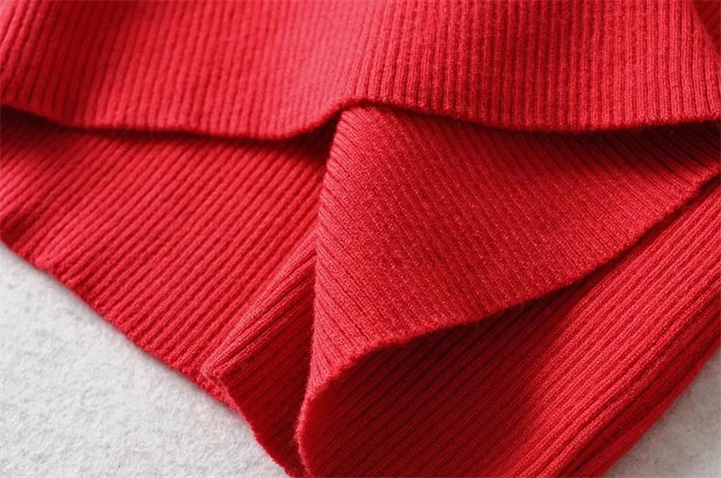 Women Roll Neck Fitted Knit Pullover With Contrast Stripe Sleeve Classic Teenage Girls' Sweater | Женская одежда