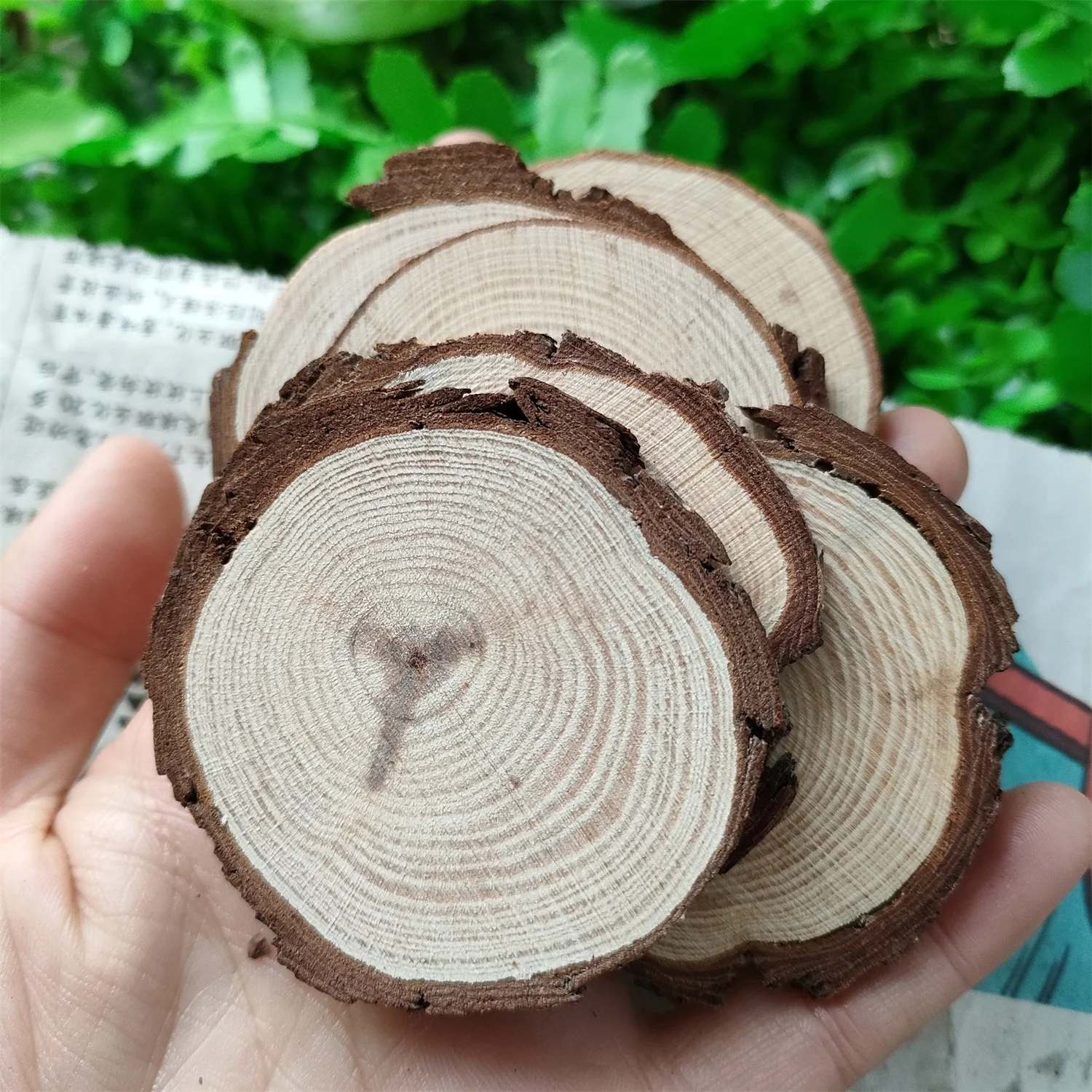 

6PCS Natural wood slice slab for decoration or coaster 40-50MM