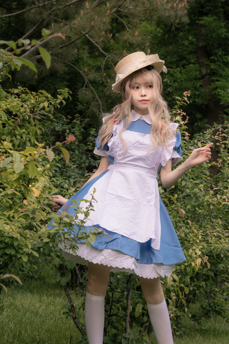 

Halloween Women Adult Anime Alice In Wonderland Blue Party Dress Alice Dream Women Sissy Maid Lolita Cosplay Costume
