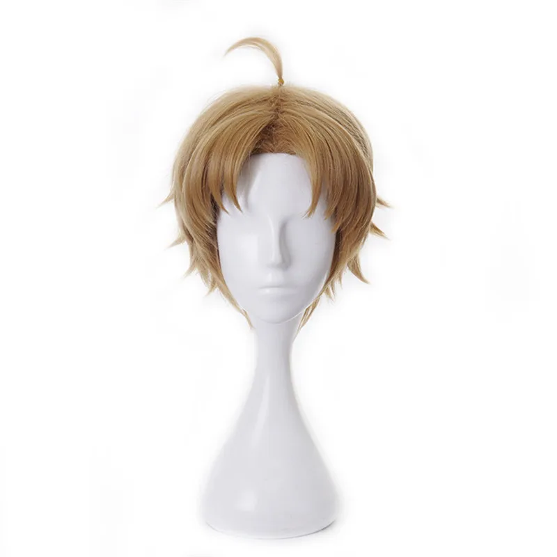 

Presale Rudeus Greyrat Cosplay Wig Mushoku Tensei Brown Heat Resistant Synthetic Rudeus Greyrat Cosplay Hair Halloween