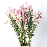 decorative grass pteris multifida poir natural dried flowers bouquet wedding home decoration indoor real flowers gradient pink