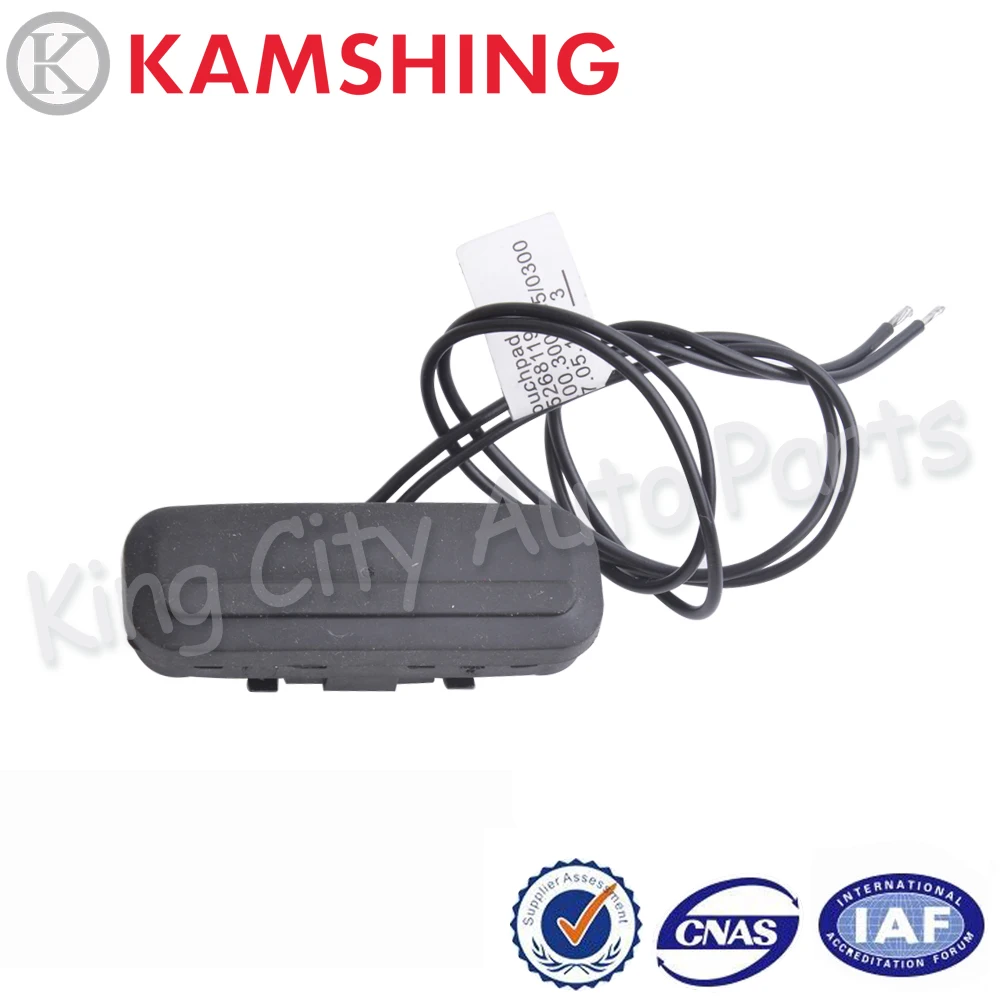 CAPQX для Chrysler Voyager Dodge Caravan 2005 2006 2007 2008 2009 10 автомобильная задняя дверь дверная ручка
