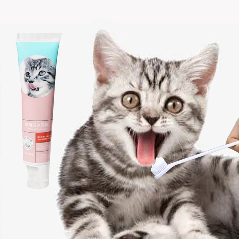 

Pet Tooth Cleaning Kits Toothbrushes And Toothpastes For Cats And Dogs Pet Teeth Care Supplies