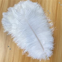 hot sale 10pcslot beautiful ostrich feather 55 60cm22 24inch dancers home craft wedding christmas diy plumes