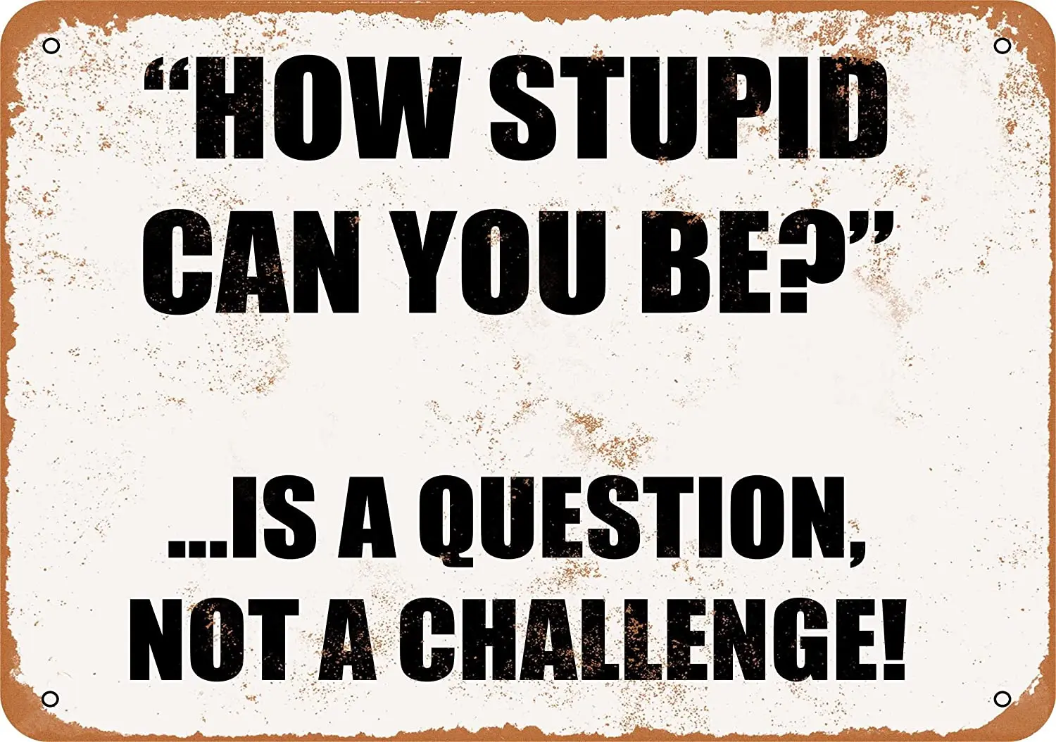 

WallColor 8*12 Metal Sign How Stupid CAN You BE .is A QUESTION, NOT A Challenge! Vintage Look