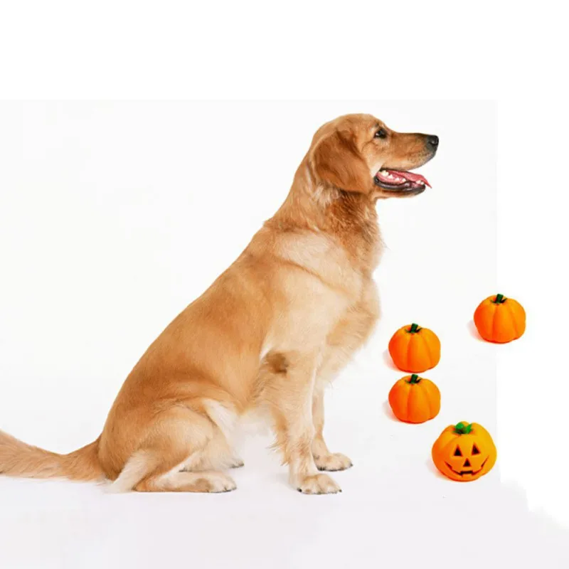 Забавные Домашние животные собака щенок кошка писк жевательные игрушки собаки