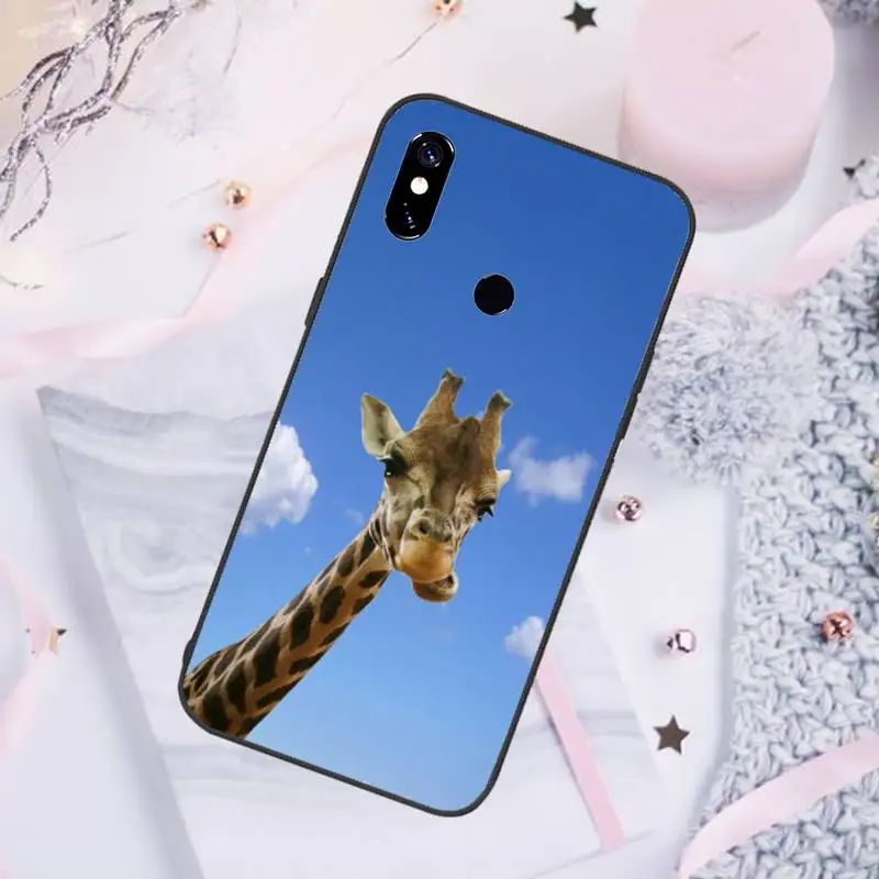 

Giraffe funny funny blue sky grass Phone Case For Xiaomi Redmi 7 8 9t a3Pro 9se k20 mi8 max3 lite 9 note 9s 10 pro