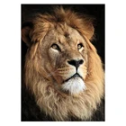 LZAIQIZG камни в форме ромбакруглый алмазов картина нового поступления с изображением короля льва ручной работы-карта Подарочная Бриллиантовая вышивка домашние украшения с животными