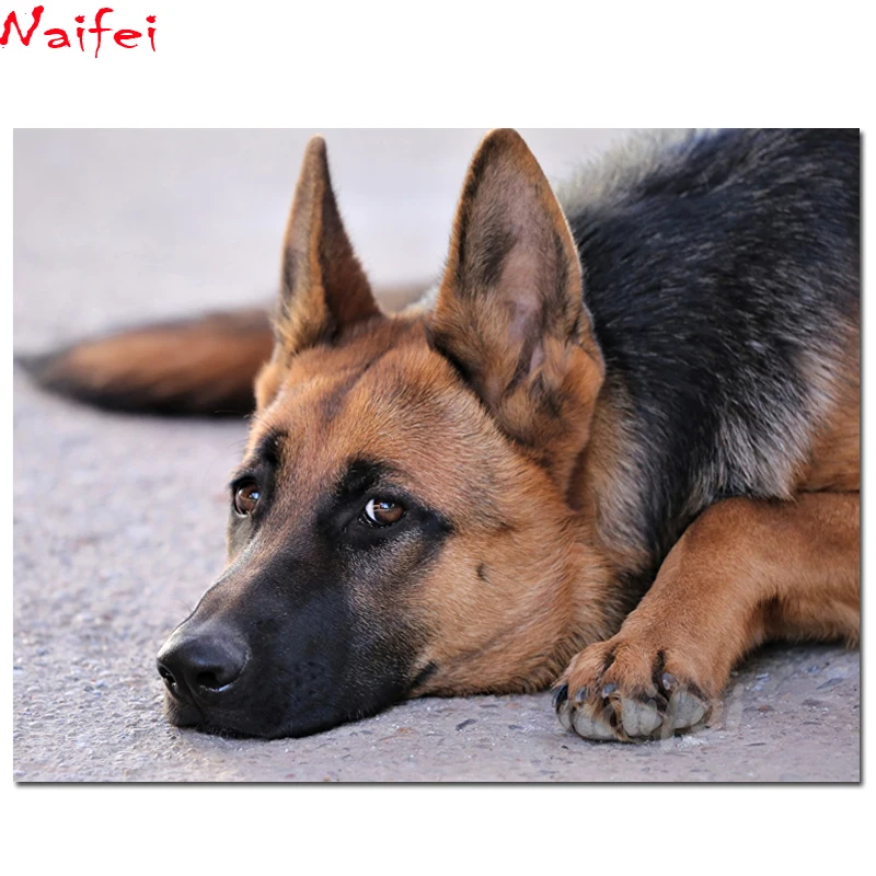 Алмазная живопись с собакой и овчаркой животные квадратная вышивка мозаика для
