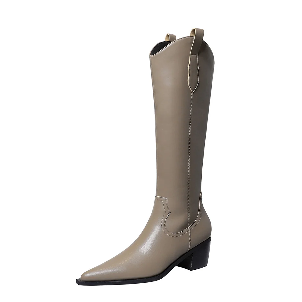 Новая зимняя модная женская обувь на толстом высоком каблуке с острым носком в