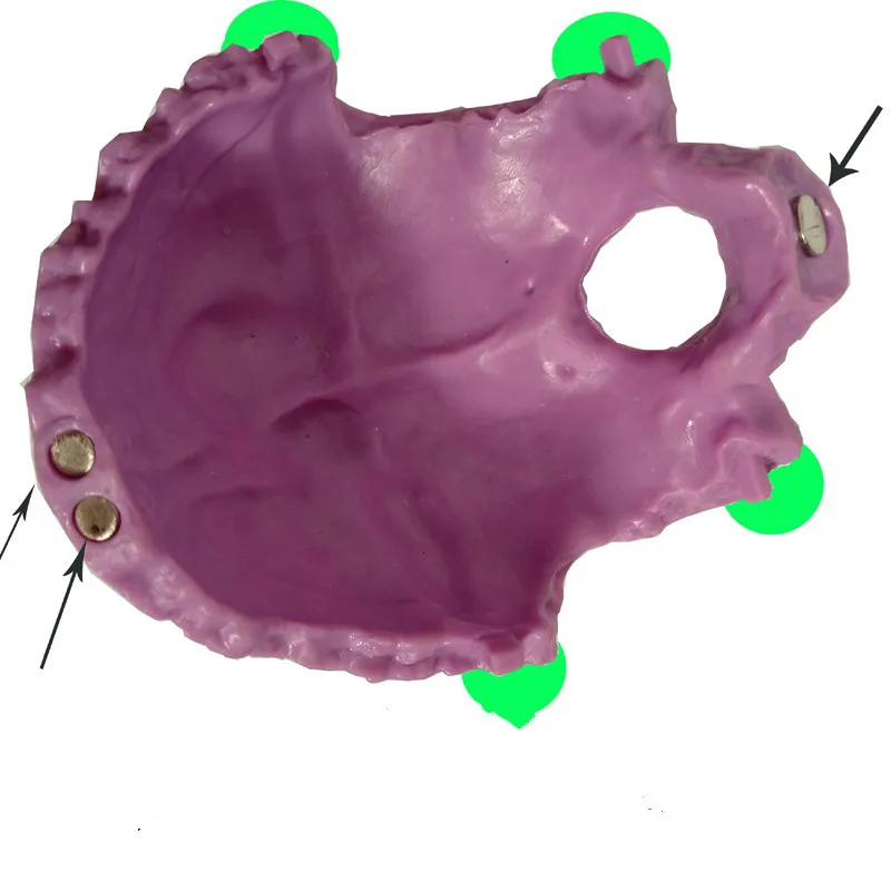 Анатомия человека красочный Собранный череп медицинская модель человеческая