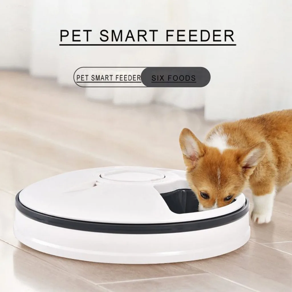 Automatic Pet Smart Feeder Timing Feeder 24h Timer 6 Grids For Dog Cat Rabbit Puppy Totoro Small Animals Pet Supplies