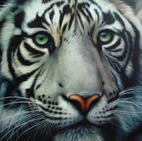 100 full 5d diy daimond painting tiger face 3d diamond painting round rhinestones diamant painting embroidery animals