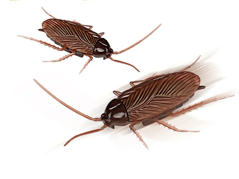 

Simulation Scary Insect Model Funny Cat Tricky Toy Spoof Animal Electric Small Cockroach Toy Gift for Kids