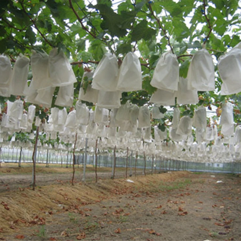 100 шт. шнурком Стиль винограда защиты мешок фруктов сумки сетки против насекомых