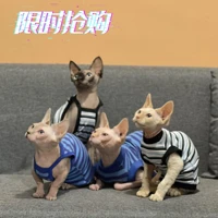 summer hairless cat clothes striped cotton hypoallergenic air conditioned room sling thin sphinx devon cat clothes