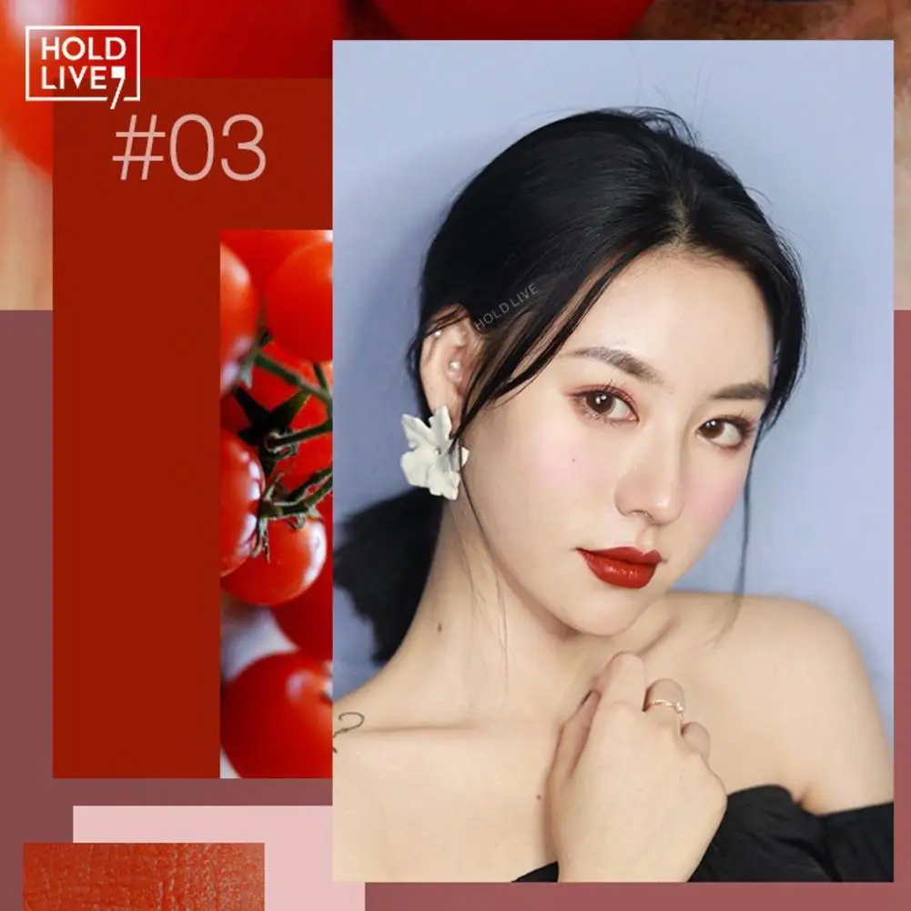 HOLD LIVE Matte Lipstick Professional Lips Makeup Color Nude Korean Long-lasting Lip Beauty Stick Party Optional