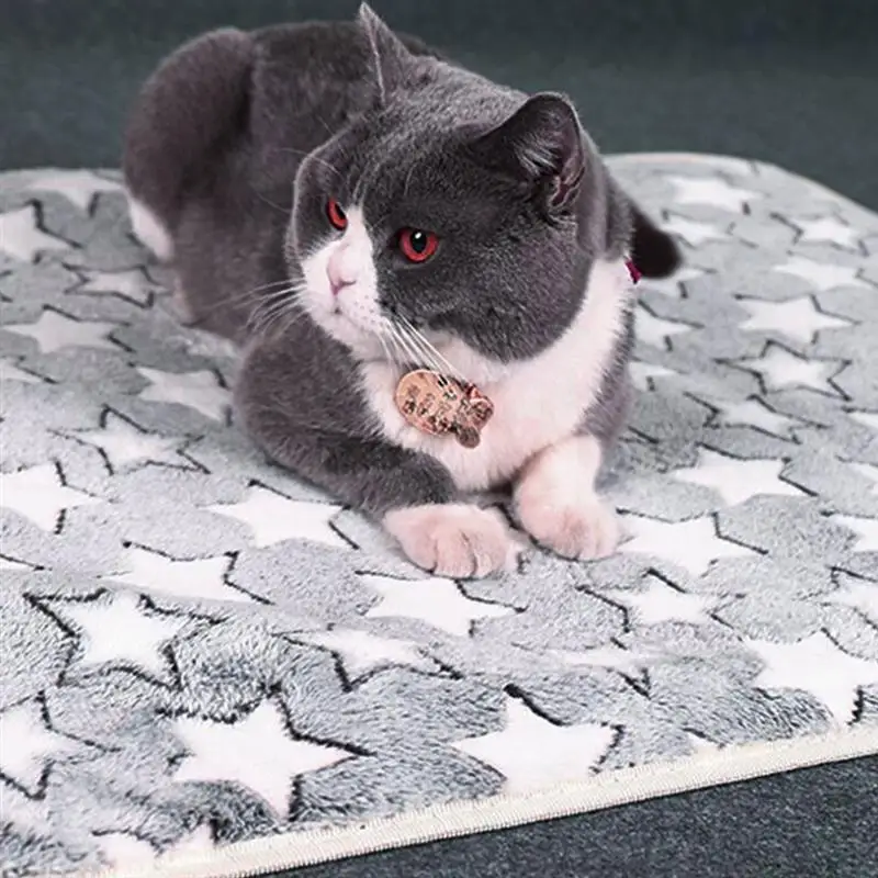 

Mat Coral Velvet Printed Blanket Pet Sleeping Floor Pad Winter Warm Blanket Home Indoor Pet Supplies Keep Warm Sleeping Cover